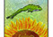 Bull Frog Acres logo design