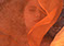women's fashion calendar - Autumn